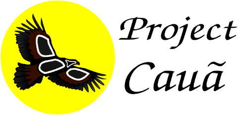 Project Cauã